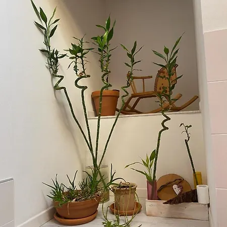 Séjour chez l'habitant Fabio Strano