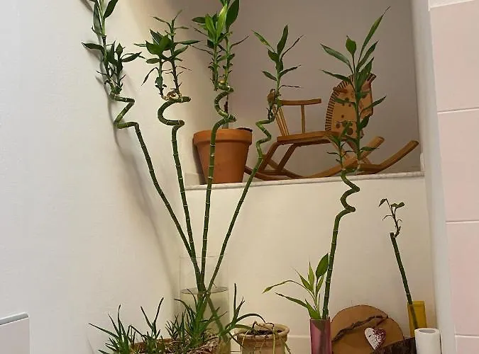 Проживание в семье Fabio Strano